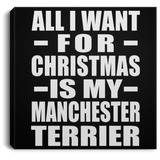 All I Want For Christmas Is My Manchester Terrier - Canvas Square