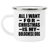 All I Want For Christmas Is My Bolognese Dog - 12oz Camping Mug