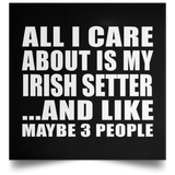 All I Care About Is My Irish Setter - Poster Square