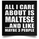 All I Care About Is Maltese - Poster Square