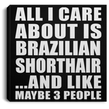 All I Care About Is Brazilian Shorthair - Canvas Square