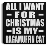 All I Want For Christmas Is My Ragamuffin Cat - Canvas Square