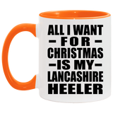 All I Want For Christmas Is My Lancashire Heeler - 11oz Accent Mug Orange