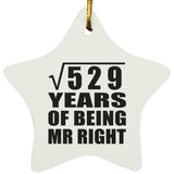23rd Anniversary Square Root of 529 Years of Being Mr Right - Star Ornament
