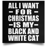 All I Want For Christmas Is My Black And White Cat - Poster Square