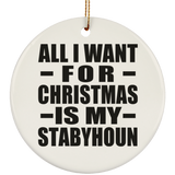 All I Want For Christmas Is My Stabyhoun - Circle Ornament