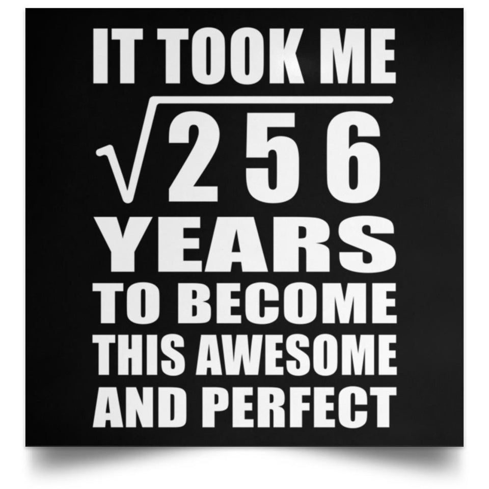 16th Birthday Took Square Root of 256 Years To Awesome - Poster Square