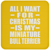 All I Want For Christmas Is My Miniature Bull Terrier - Coaster