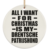 All I Want For Christmas Is My Drentsche Patrijshond - Circle Ornament