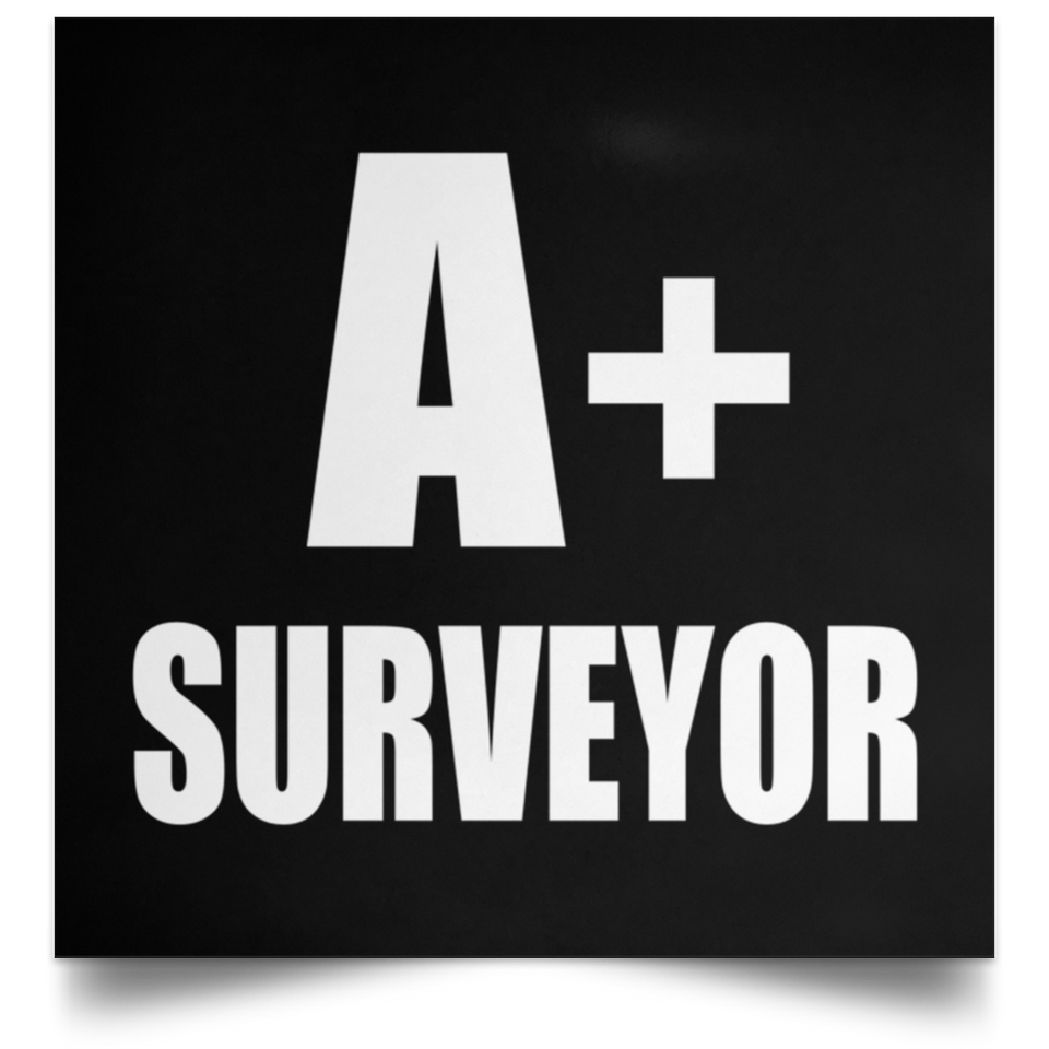 A+ Surveyor - Poster Square