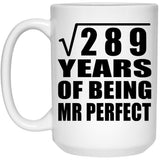 17th Anniversary Square Root of 289 Years of Mr Perfect - 15oz Coffee Mug