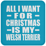 All I Want For Christmas Is My Welsh Terrier - Coaster