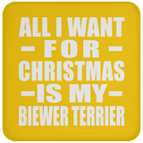 All I Want For Christmas Is My Biewer Terrier - Coaster