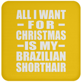 All I Want For Christmas Is My Brazilian Shorthair - Coaster