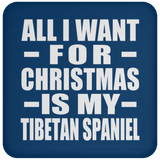All I Want For Christmas Is My Tibetan Spaniel - Coaster