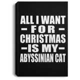 All I Want For Christmas Is My Abyssinian Cat - Canvas Portrait