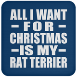 All I Want For Christmas Is My Rat Terrier - Coaster