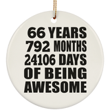 66th Birthday 66 Years 792 Months 24106 Days Of Awesome - Circle Ornament