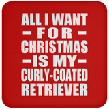 All I Want For Christmas Is My Curly-Coated Retriever - Coaster