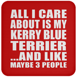 All I Care About Is My Kerry Blue Terrier - Drink Coaster