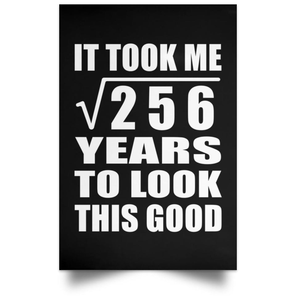 16th Birthday Took Square Root of 256 Years To Look Good - Poster Portrait