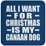 All I Want For Christmas Is My Canaan Dog - Coaster