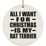 All I Want For Christmas Is My Rat Terrier - Circle Ornament
