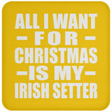 All I Want For Christmas Is My Irish Setter - Coaster