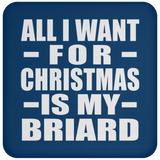 All I Want For Christmas Is My Briard - Coaster