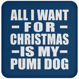 All I Want For Christmas Is My Pumi Dog - Coaster