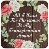 All I Want For Christmas Is My Transylvanian Hound - Drink Coaster A