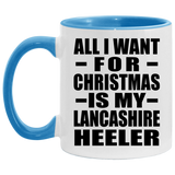 All I Want For Christmas Is My Lancashire Heeler - 11oz Accent Mug Blue
