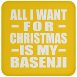 All I Want For Christmas Is My Basenji - Coaster