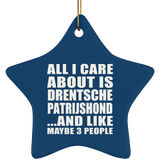All I Care About Is Drentsche Patrijshond - Star Ornament