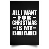 All I Want For Christmas Is My Briard - Poster Portrait