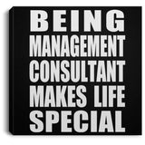 Being Management Consultant Makes Life Special - Canvas Square