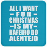 All I Want For Christmas Is My Rafeiro Do Alentejo - Coaster