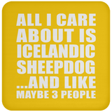 All I Care About Is Icelandic Sheepdog - Drink Coaster