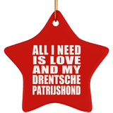 All I Need Is Love And My Drentsche Patrijshond - Star Ornament