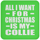 All I Want For Christmas Is My Collie - Coaster
