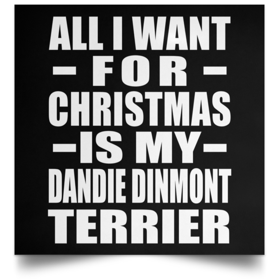 All I Want For Christmas Is My Dandie Dinmont Terrier - Poster Square