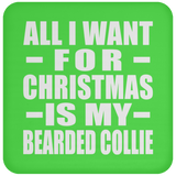 All I Want For Christmas Is My Bearded Collie - Coaster