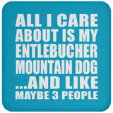 All I Care About Is My Entlebucher Mountain Dog - Drink Coaster