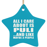 All I Care About Is Puli - Star Ornament