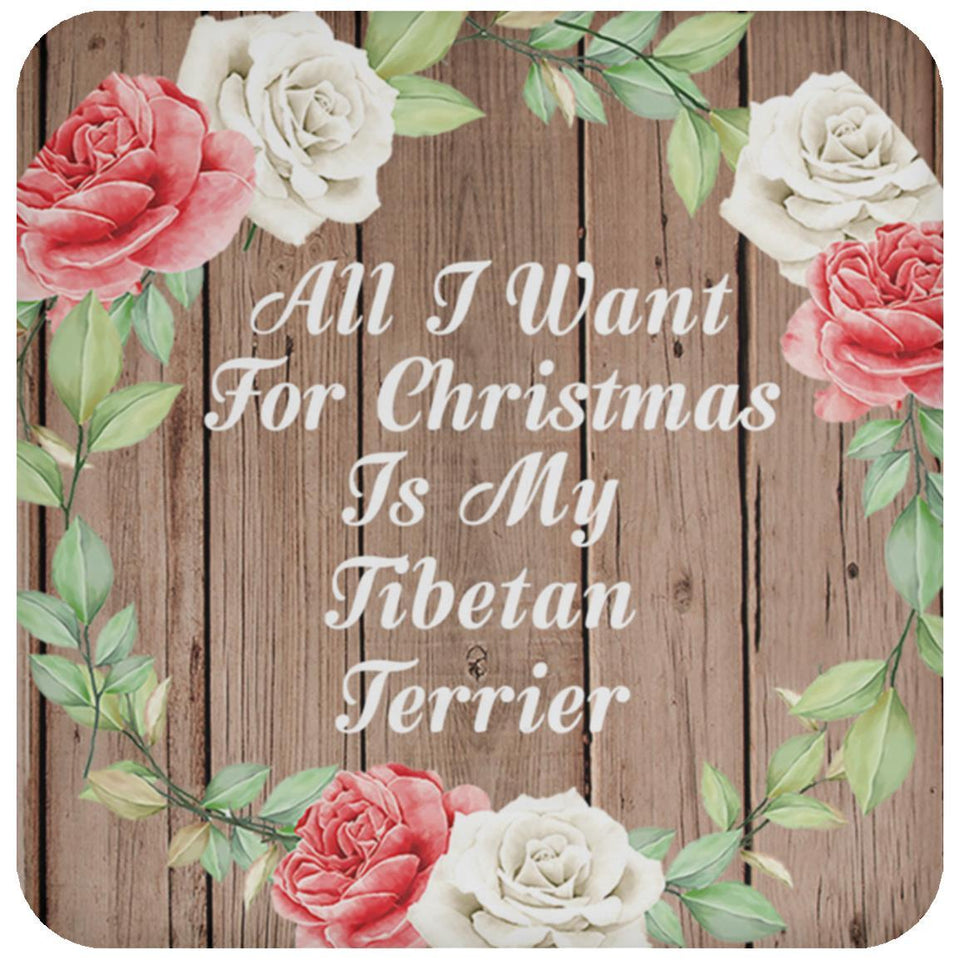 All I Want For Christmas Is My Tibetan Terrier - Drink Coaster B