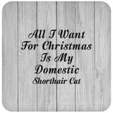 All I Want For Christmas Is My Domestic Shorthair Cat - Drink Coaster F