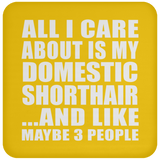 All I Care About Is My Domestic Shorthair - Drink Coaster