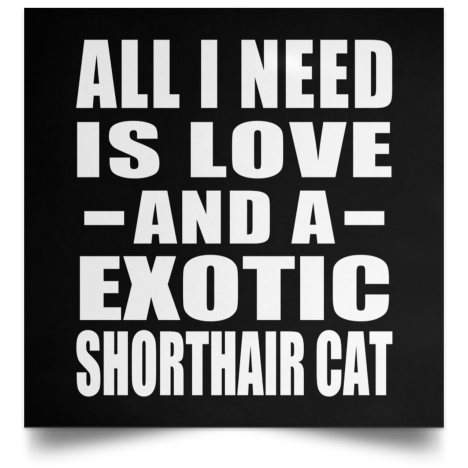 All I Need Is Love And A Exotic Shorthair Cat - Poster Square