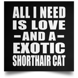 All I Need Is Love And A Exotic Shorthair Cat - Poster Square