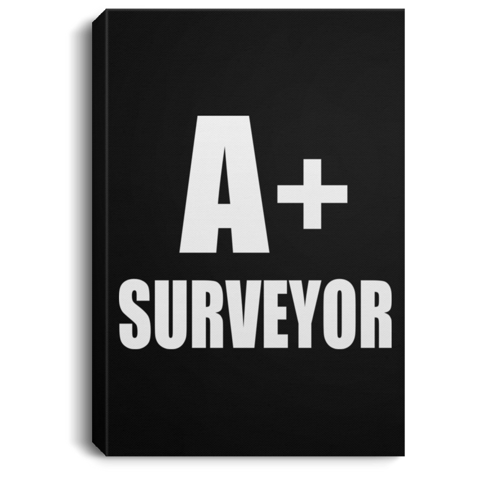 A+ Surveyor - Canvas Portrait